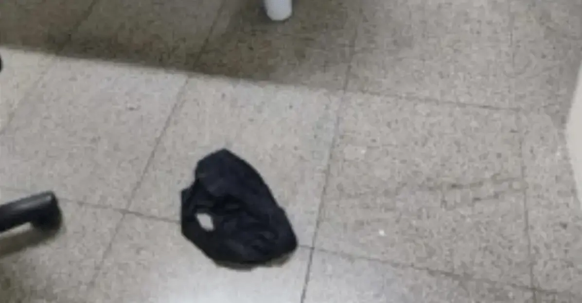 Juiz solicita apuração após calcinha ser encontrada em fórum no Espírito Santo